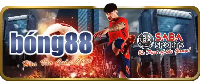 Minh họa chương trình hoàn trả tiền cược của km3888b